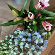 Load image into Gallery viewer, Gift Oriental Lily &amp; Delphinium Box
