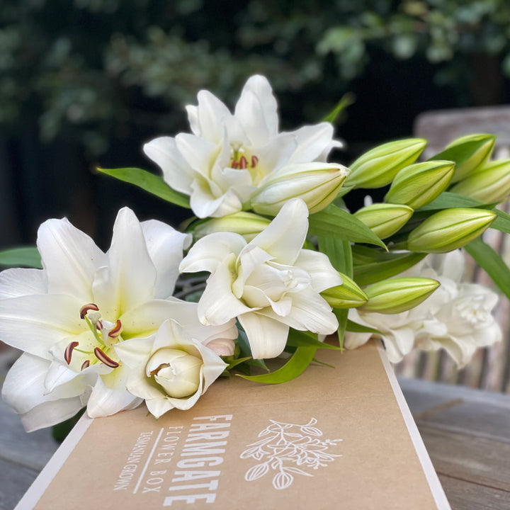 FARMGATE ORIENTAL LOTUS LILY GIFT BOX WHITE