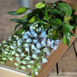 Load image into Gallery viewer, Gift Oriental Lily &amp; Delphinium Box
