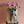 Load image into Gallery viewer, Ranunculus (Double Bunch) + Vase
