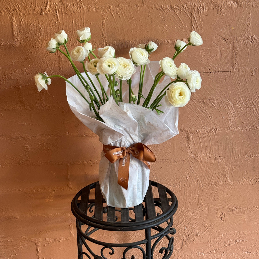 Ranunculus (Double Bunch) + Vase