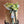Load image into Gallery viewer, Bouquet of flowers in a brown paper bag with Farmgate flowers Tasmanian grown  on a textured brown background
