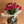 Load image into Gallery viewer, Ranunculus (Double Bunch) + Vase
