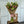 Load image into Gallery viewer, Gift Oriental Lilium &amp; Seasonal Mix + Vase
