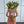 Load image into Gallery viewer, Gift Oriental Lilium &amp; Seasonal Mix + Vase
