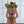 Load image into Gallery viewer, Gift Oriental Lilium &amp; Seasonal Mix + Vase
