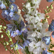 Load image into Gallery viewer, Gift Delphinium Flower Box
