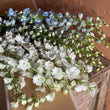 Load image into Gallery viewer, Gift Delphinium Flower Box
