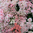 Load image into Gallery viewer, Gift Valentine Roses
