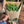 Load image into Gallery viewer, Gift Wrapped Tulips (Mother’s Day) - Collect Only
