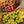 Load image into Gallery viewer, Gift Wrapped Tulips (Mother’s Day) - Collect Only
