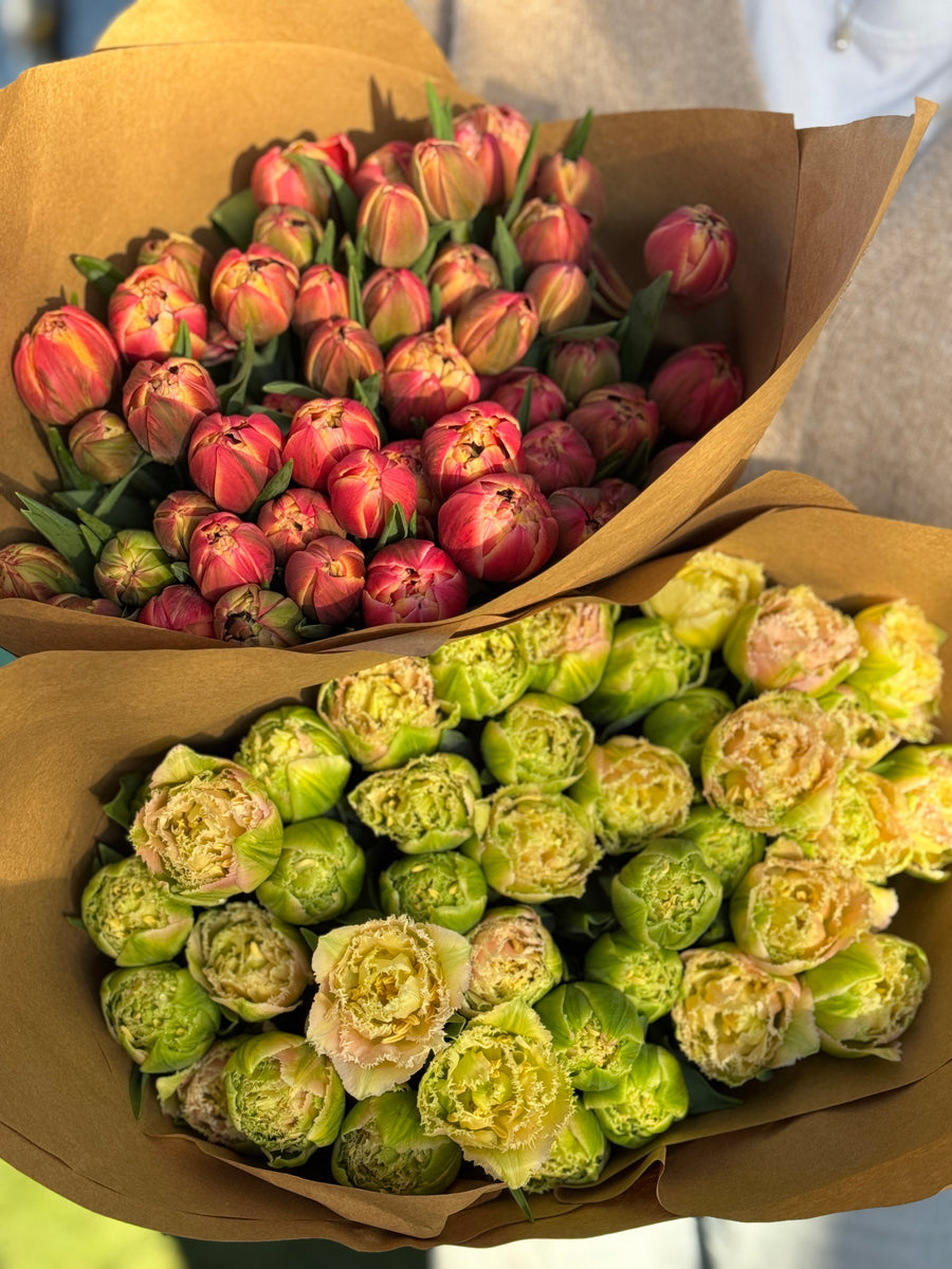 Gift Wrapped Tulips (Mother’s Day) - Collect Only