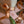 Load image into Gallery viewer, Gift Wrapped Lilies (Mothers Day) - Collect Only
