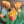 Load image into Gallery viewer, FARM FRESH TULIPS - DOUBLE BUNCH (20 STEMS)
