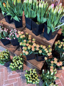 FARMGATE FLOWERS DIRECT TASMANIAN TULIPS BRISBANE FLOWER DELIVERY MOTHERS DAY 2025 TULIPS