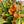 Load image into Gallery viewer, FARM FRESH ALSTROEMERIA - SINGLE BUNCH
