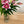Load image into Gallery viewer, FLOWER DELIVERY BRISBANE FLOWERS BRISBANE FLORIST BRISBANE FLOWERS DELIVERY BRISBANE
