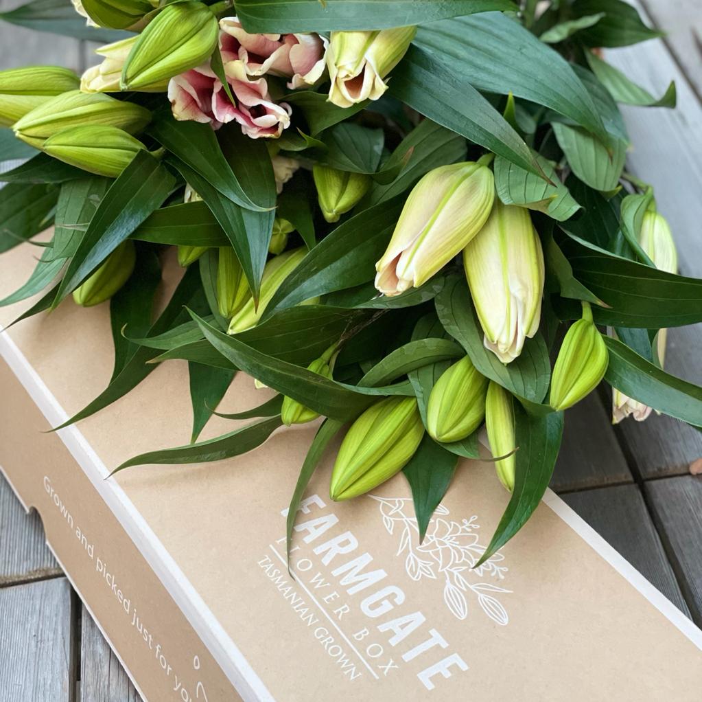 Gift Oriental Lily Farm Flower Bouquet in a box flower delivery