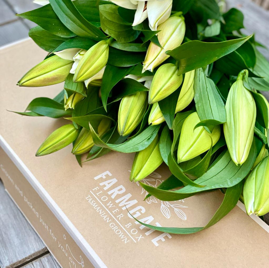 Oriental Lily Flower Box Subscription