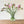 Load image into Gallery viewer, FARM FRESH FREESIAS - DOUBLE BUNCH (20 STEMS)

