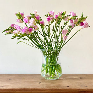 FARM FRESH FREESIAS - TRIPLE BUNCH (30 STEMS)