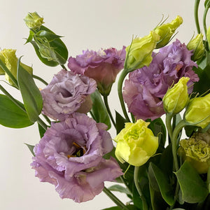 FARM FRESH LISIANTHUS - TRIPLE BUNCH