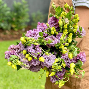 FARM FRESH LISIANTHUS - TRIPLE BUNCH