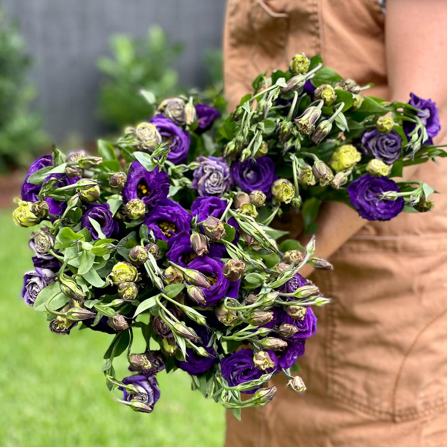 FARM FRESH LISIANTHUS - TRIPLE BUNCH