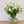 Load image into Gallery viewer, FARM FRESH RANUNCULUS - TRIPLE BUNCH (30 STEMS)
