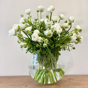 FARM FRESH RANUNCULUS - TRIPLE BUNCH (30 STEMS)