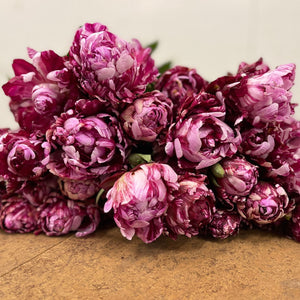 FARM FRESH PEONY ROSES - SINGLE BUNCH (5 STEMS)