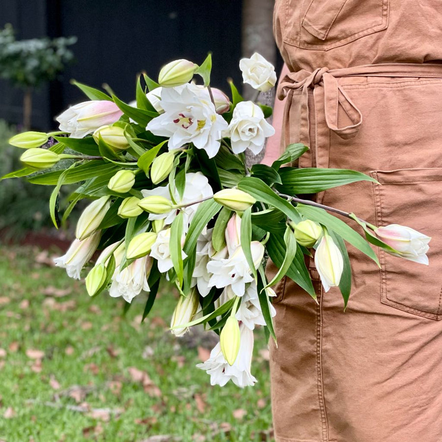 FARMGATE ORIENTAL LOTUS LILY (DOUBLE FLOWERED) LILIES / LILIUM - TRIPLE BUNCH (9 STEMS)