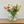 Load image into Gallery viewer, FARMGATE FLOWERS DIRECT RANUNCULUS ORANGE
