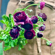 Load image into Gallery viewer, FARMGATE FLOWERS DIRECT PLUM RANUNCULUS 

