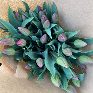 Gift Tulip Flower Box