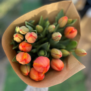 FARM FRESH TULIPS - DOUBLE BUNCH (20 STEMS)